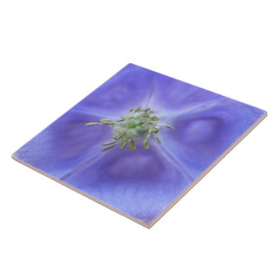 Aquilegia Flower Tile Kakelplatta