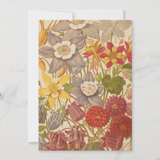 Aquilegia | George Nicholson (Framsida)