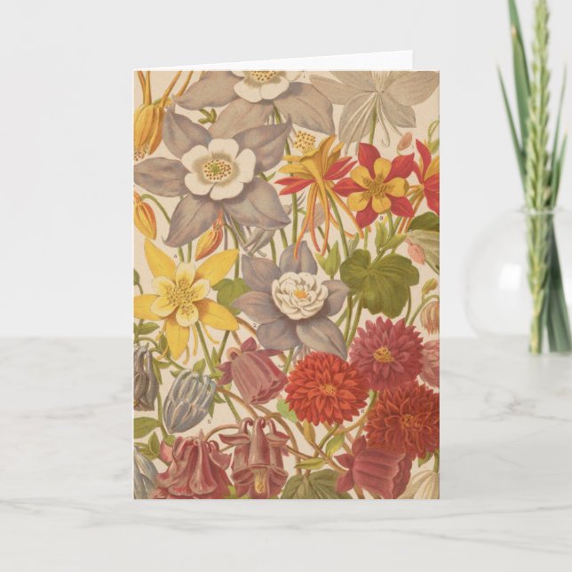 Aquilegia | George Nicholson Kort (Framsida)