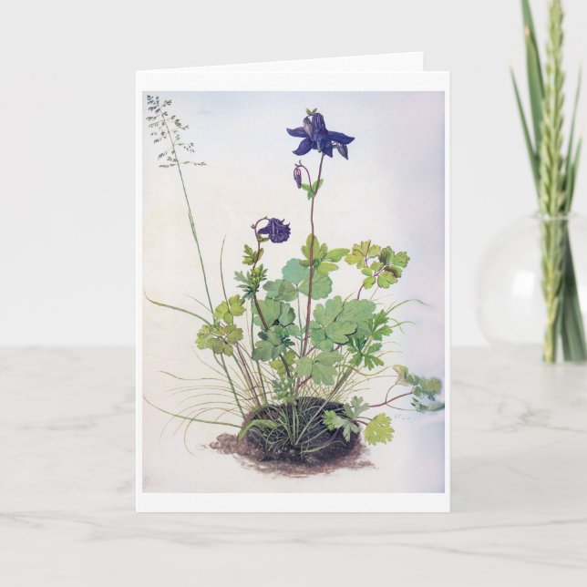 Aquilegia vulgaris Flower, Albrecht Durer Kort (Framsida)