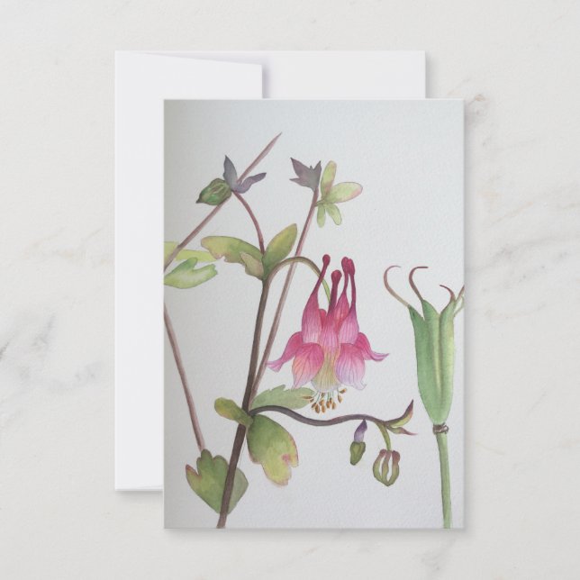 Aquinol Svarskort Botaniska akvareller OSA Kort (Framsida)