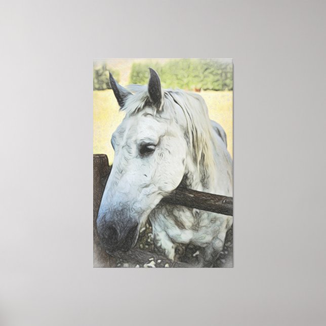 *~* AR22 White Horse over Fence Equine Canvastryck (Framsida)