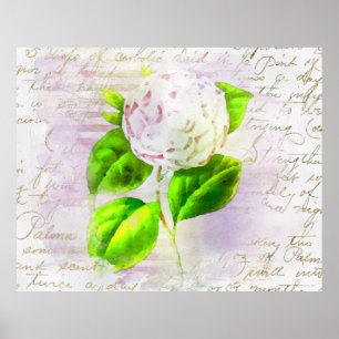 ** AR23 Blommigt Gammal handskriftsVintage Viktori Poster