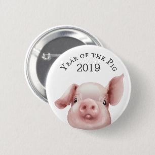 År 2019 i Gris Knapp