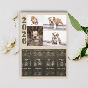 År 2026 Kalender Hund Husdjur 4 Foto Collage Magne