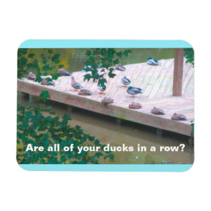 "Är alla dina Ankor på en rad?" 3x4 Photo Magnet