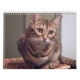 År av den Bengal katten Kalender