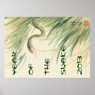 År av ormaffischen poster