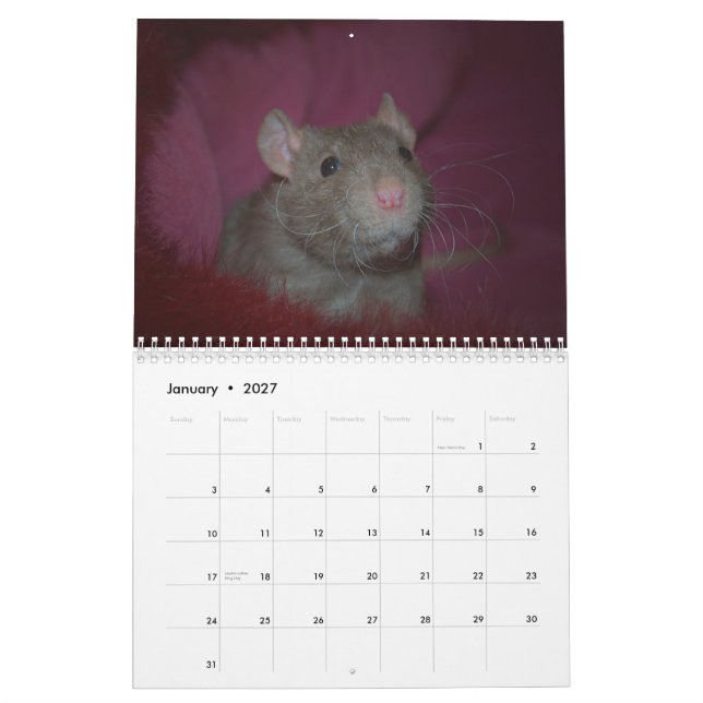 År av råttan Calander Kalender (Jan 2027)