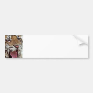 År av tigerbildekalet bildekal