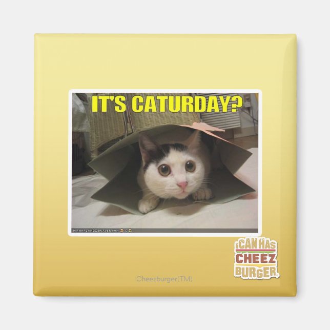 Är det Caturday? Magnet (Framsidan)