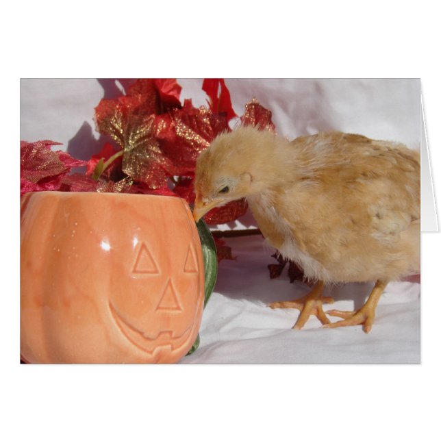 Är det där mat? hälsningskort (Framsidan Horizontal)