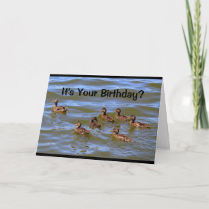 Är det din födelsedag? Det är bara Ducky! Kort