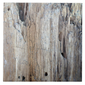 Är det ett biet av Driftwood Kakelplatta