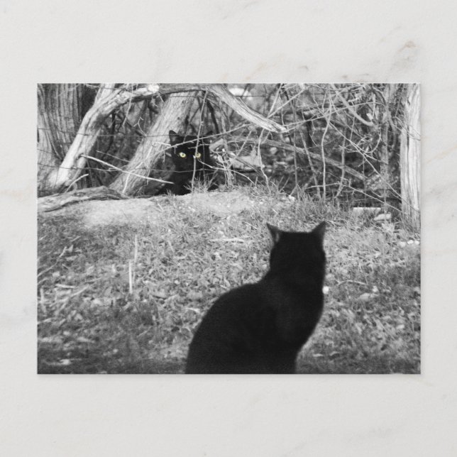 Är det jag? vykort (Framsida)