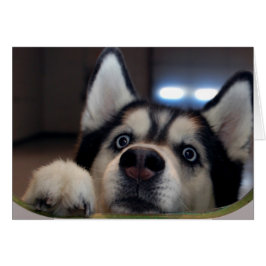 Är det nån som är där ute hälsningskort