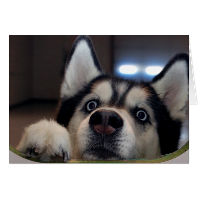 Är det nån som är där ute hälsningskort (Framsidan Horizontal)