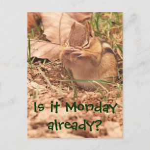 Är det redan måndag? Chipmunk-vykort Vykort