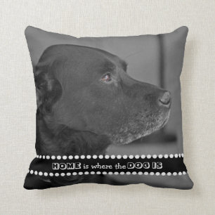 Är det roliga hemmet för hundfotoet var hunden  kudde
