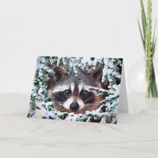 "Är det säkert att komma ut? ", Kort