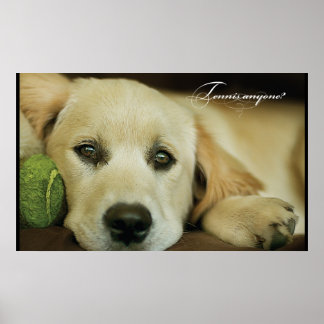 Är det tennis nån? poster