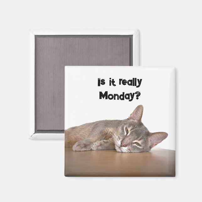 Är det Verkligen måndag? Funny Abyssinian Cat Meme Magnet (Front/Back)