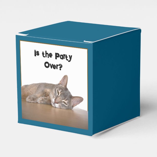 Är det Verkligen måndag? Funny Abyssinian Cat Meme Presentaskar (Framsidan Sidan)