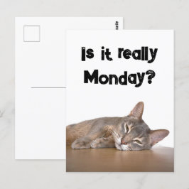 Är det Verkligen måndag? Funny Abyssinian Cat Meme Vykort