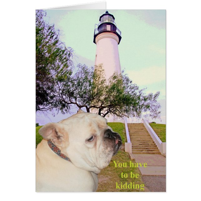 Är du allvarlig? hälsningskort (Framsidan)