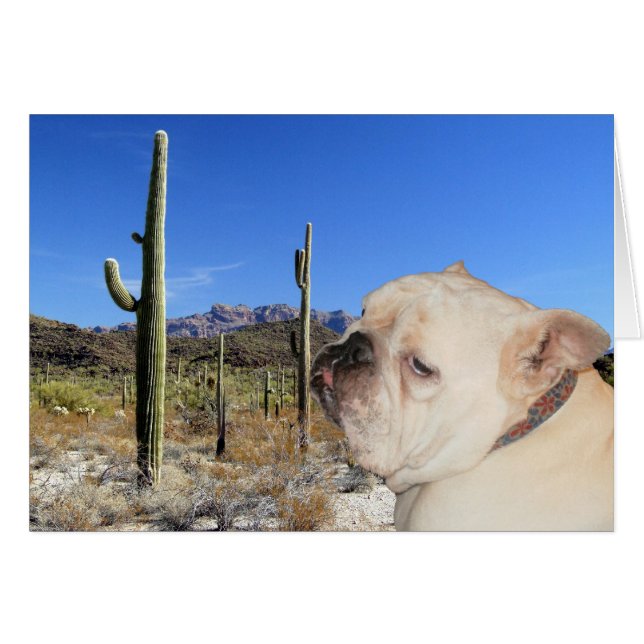 Är du allvarlig? hälsningskort (Framsidan Horizontal)