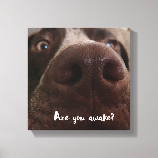 Är du AVaken? Canvastryck