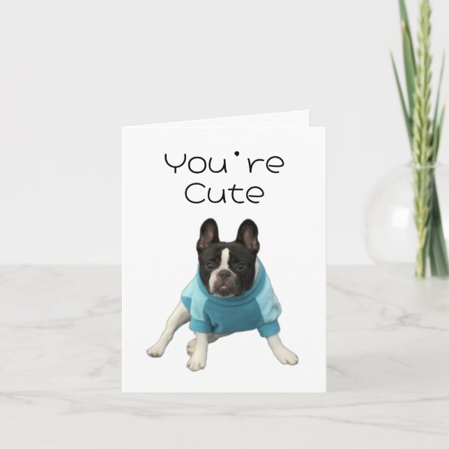 Är du Cute Wanna? Hund-mappat kort (Framsida)