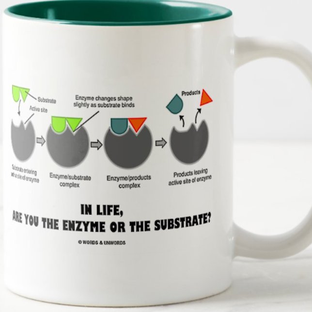 Är du enzymet eller substratet i livet? Två-Tonad mugg (Mug for any ponderous thinker in life featuring the induced-fit model)