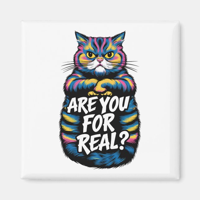 Är Du För Riktig Rolig Grumpy Cat Magnet (Framsidan)