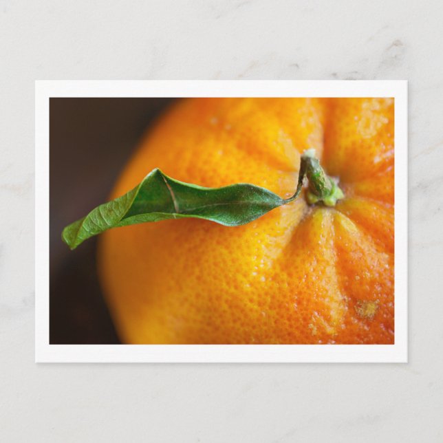 Är du glad över orangen? vykort (Framsida)