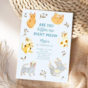 Är du Kitten Kat Boy Birthday? Inbjudningar