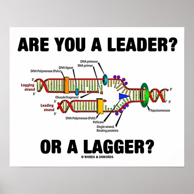 Är du ledare? Eller en Lagger? Geek DNA Humor Poster (Framsidan)