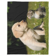 ÄR DU MIN STORA BROTHTHER