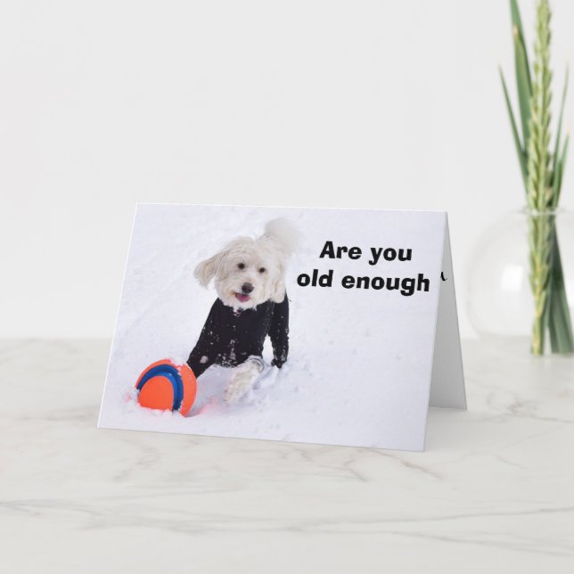 ÄR DU PÅ ÅLDERN FÖR HÖRSSTÖD ÄNNU? KORT (Framsida)