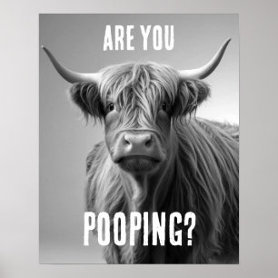 Är du Pooping Highland Cow Toilet Humor Bathroom? Poster
