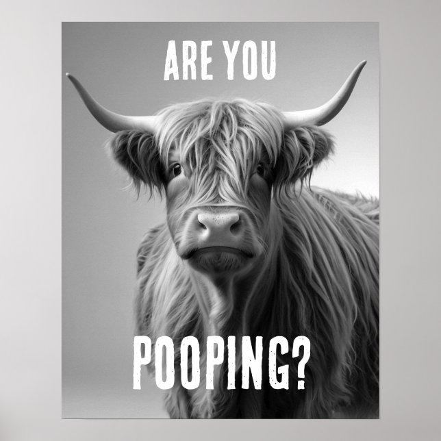 Är du Pooping Highland Cow Toilet Humor Bathroom? Poster (Framsidan)