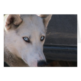 Är du Redo? Hälsningskort