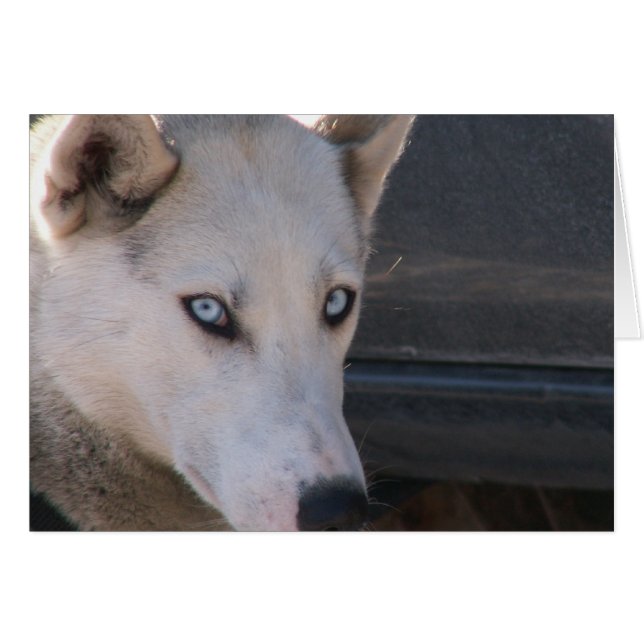 Är du Redo? Hälsningskort (Framsidan Horizontal)