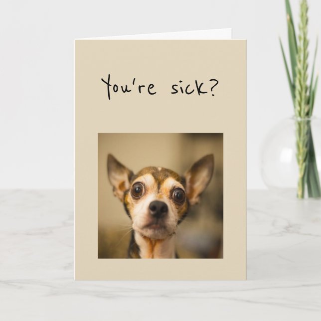 Är du sjuk? Nooo, få snart Roligt Chihuahua Hund Kort (Framsida)