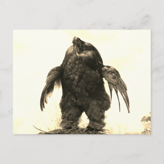 Är du till och med Hiss, Bro? - Vykort (Framsida)