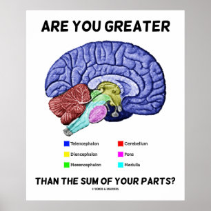 Är du Underbarare än summan av dina delar? Brain Poster