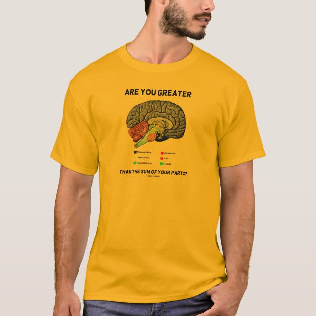 Är du Underbarare än summan av dina delar? Brain T Shirt (Framsida)