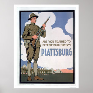 Är du utbildad att försvara? (US02066) Poster