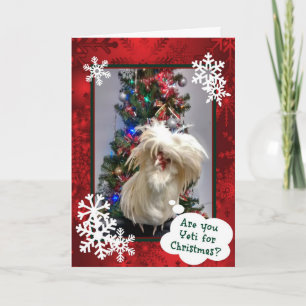 Är du Yeti till jul? Helgkort