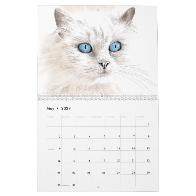 År för kattkalendern i teckning kalender (May 2027)